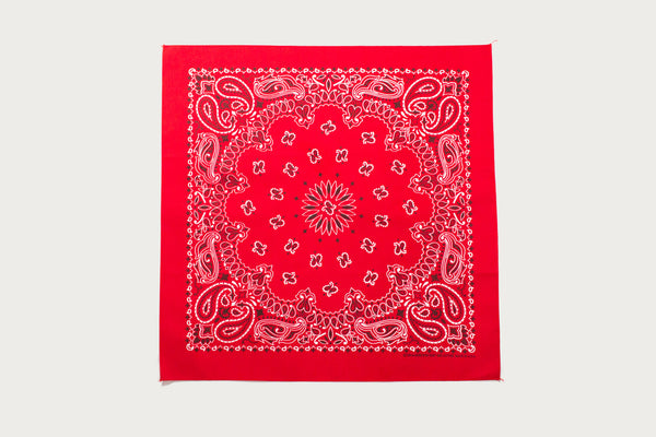Hav-A-Hank Paisley Bandana - Red – Heddels