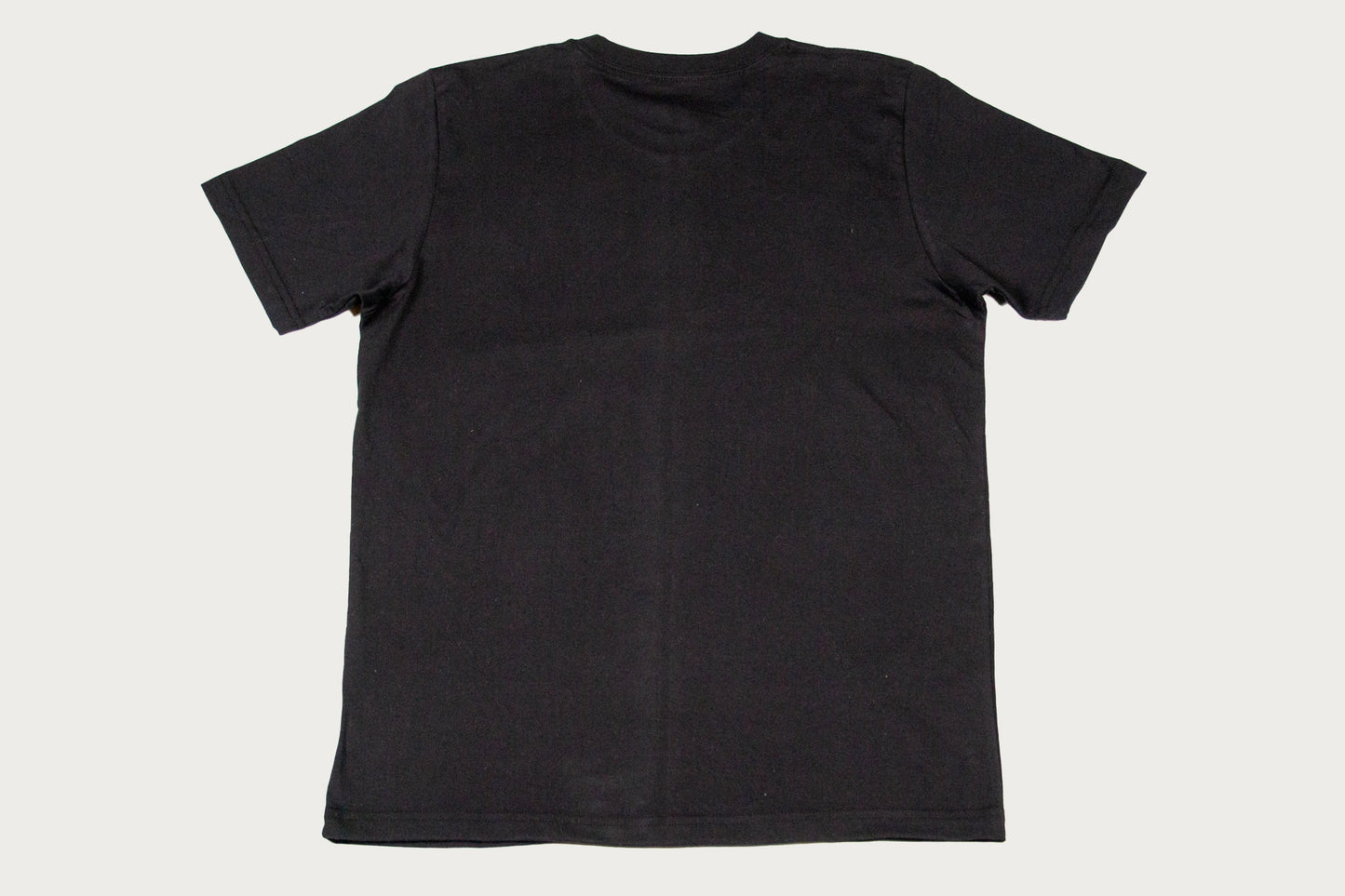 House of Blanks Heavyweight T-Shirt Black – Heddels