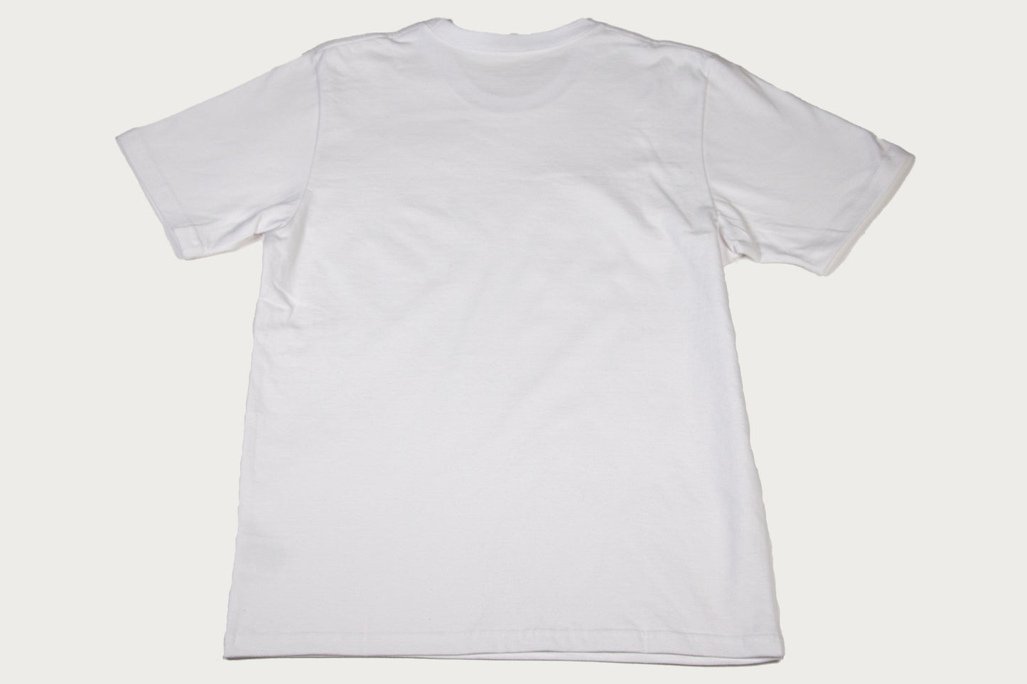 House of Blanks Heavyweight T-Shirt White